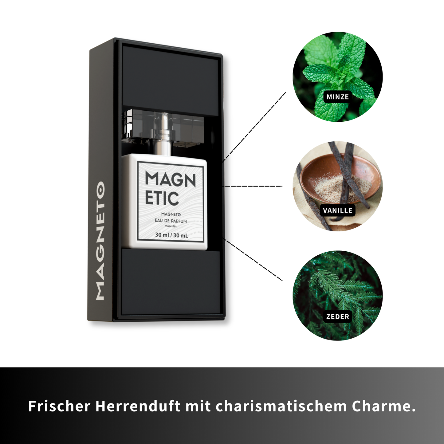 Magnetic-Masculin-Duftnoten