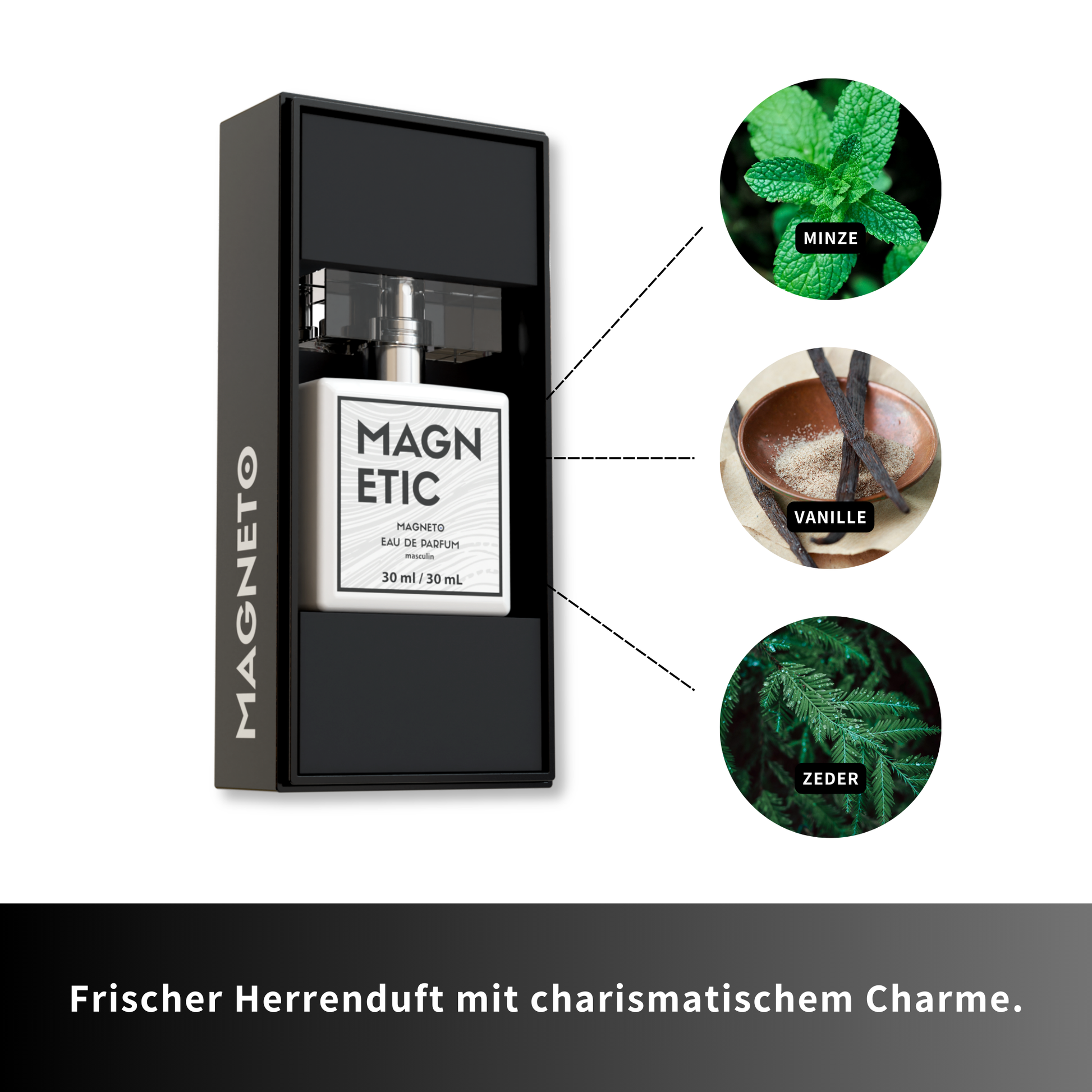 Magnetic-Masculin-Duftnoten